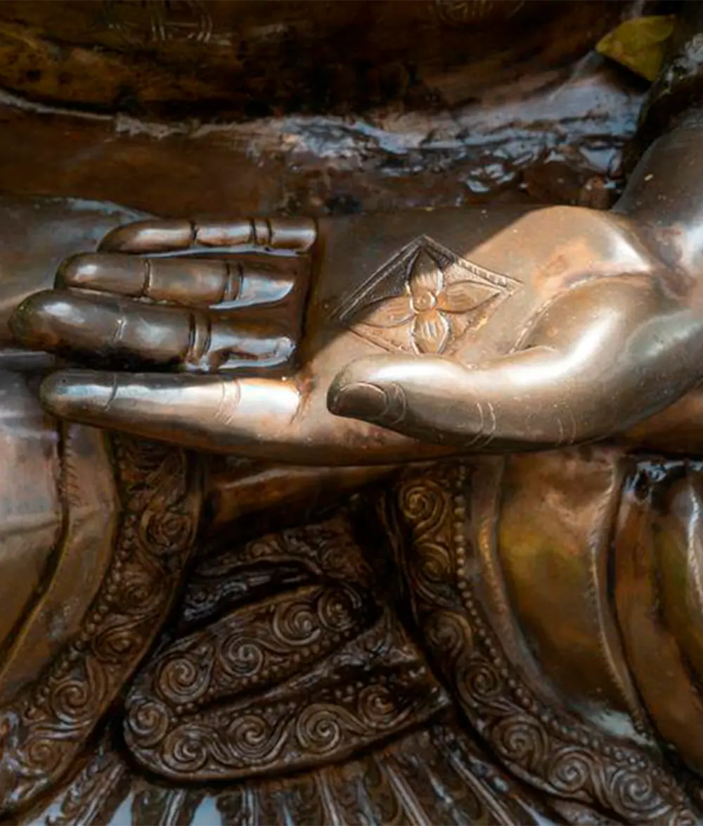 WhatsApp Image 2024-10-31 at 19.25.31 (1)